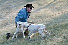 slides/0028_081206-001_DSC_4129.jpg  0028_081206-001_DSC_4129