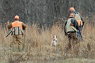 slides/0028_081206-007_DSC_4145.jpg  0028_081206-007_DSC_4145