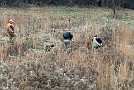 slides/0028_081206-009_DSC_4152.jpg  0028_081206-009_DSC_4152