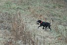 slides/0028_081206-011_DSC_4157.jpg  0028_081206-011_DSC_4157