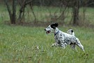 slides/0028_081206-025_DSC_4214.jpg  0028_081206-025_DSC_4214