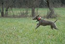 slides/0028_081206-026_DSC_4216.jpg  0028_081206-026_DSC_4216