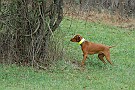 slides/0028_081206-029_DSC_4237.jpg  0028_081206-029_DSC_4237