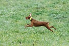 slides/0028_081206-030_DSC_4238.jpg  0028_081206-030_DSC_4238
