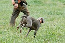slides/0028_081206-032_DSC_4248.jpg  0028_081206-032_DSC_4248