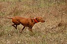 slides/0028_081206-035_DSC_4267.jpg  0028_081206-035_DSC_4267