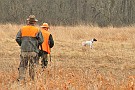 slides/mdgsp-090315_01_DSC_3258.jpg  Mason-Dixon German Shorthaired Pointer Club - Spring 2009 Hunt Test - McKee-Beshers