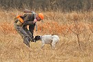 slides/mdgsp-090315_04_DSC_3265.jpg  Mason-Dixon German Shorthaired Pointer Club - Spring 2009 Hunt Test - McKee-Beshers