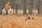 slides/mdgsp-090315_08_DSC_3277.jpg  Mason-Dixon German Shorthaired Pointer Club - Spring 2009 Hunt Test - McKee-Beshers