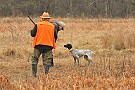 slides/mdgsp-090315_10_DSC_3289.jpg  Mason-Dixon German Shorthaired Pointer Club - Spring 2009 Hunt Test - McKee-Beshers