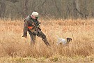 slides/mdgsp-090315_11_DSC_3292.jpg  Mason-Dixon German Shorthaired Pointer Club - Spring 2009 Hunt Test - McKee-Beshers