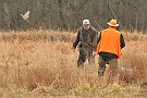 slides/mdgsp-090315_12_DSC_3296.jpg  Mason-Dixon German Shorthaired Pointer Club - Spring 2009 Hunt Test - McKee-Beshers