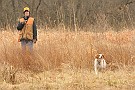 slides/mdgsp-090315_17_DSC_3320.jpg  Mason-Dixon German Shorthaired Pointer Club - Spring 2009 Hunt Test - McKee-Beshers