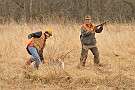 slides/mdgsp-090315_19_DSC_3324.jpg  Mason-Dixon German Shorthaired Pointer Club - Spring 2009 Hunt Test - McKee-Beshers