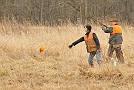 slides/mdgsp-090315_20_DSC_3326.jpg  Mason-Dixon German Shorthaired Pointer Club - Spring 2009 Hunt Test - McKee-Beshers