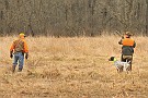 slides/mdgsp-090315_26_DSC_3345.jpg  Mason-Dixon German Shorthaired Pointer Club - Spring 2009 Hunt Test - McKee-Beshers