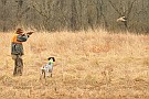 slides/mdgsp-090315_27_DSC_3348.jpg  Mason-Dixon German Shorthaired Pointer Club - Spring 2009 Hunt Test - McKee-Beshers