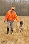 slides/mdgsp-090315_37_DSC_3380.jpg  Mason-Dixon German Shorthaired Pointer Club - Spring 2009 Hunt Test - McKee-Beshers