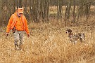 slides/mdgsp-090315_38_DSC_3384.jpg  Mason-Dixon German Shorthaired Pointer Club - Spring 2009 Hunt Test - McKee-Beshers