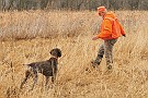 slides/mdgsp-090315_39_DSC_3391.jpg  Mason-Dixon German Shorthaired Pointer Club - Spring 2009 Hunt Test - McKee-Beshers