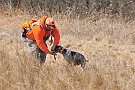 slides/dcwc-090321_19_DSC_3529.jpg  DC Weimaraner Club - 2009 Spring Hunt Test