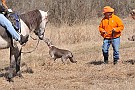 slides/dcwc-090321_21_DSC_3540.jpg  DC Weimaraner Club - 2009 Spring Hunt Test