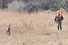 slides/dcwc-090321_25_DSC_3555.jpg  DC Weimaraner Club - 2009 Spring Hunt Test