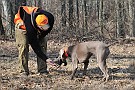 slides/dcwc-090321_47_DSC_3631.jpg  DC Weimaraner Club - 2009 Spring Hunt Test