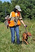 slides/mdgspc-20090913_45_DSC_5479.jpg  Mason-Dixon German Shorthaired Pointer Club - Fall 2009 Training Day