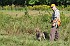 slides/mdgspc-20090913_46_DSC_5480.jpg  Mason-Dixon German Shorthaired Pointer Club - Fall 2009 Training Day