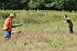 slides/mdgspc-20090913_48_DSC_5489.jpg  Mason-Dixon German Shorthaired Pointer Club - Fall 2009 Training Day