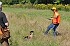 slides/mdgspc-20090913_54_DSC_5501.jpg  Mason-Dixon German Shorthaired Pointer Club - Fall 2009 Training Day