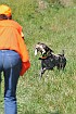 slides/mdgspc-20090913_56_DSC_5506.jpg  Mason-Dixon German Shorthaired Pointer Club - Fall 2009 Training Day