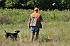 slides/mdgspc-20090913_59_DSC_5514.jpg  Mason-Dixon German Shorthaired Pointer Club - Fall 2009 Training Day
