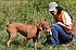 slides/mdgspc-20090913_66_DSC_5529.jpg  Mason-Dixon German Shorthaired Pointer Club - Fall 2009 Training Day